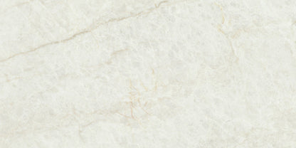 Precious Marble | 24"x48" Porcelain Marble Look Floor & Wall Tile