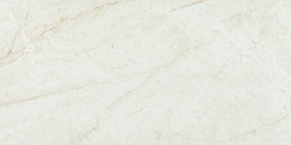 Precious Marble | 24"x48" Porcelain Marble Look Floor & Wall Tile