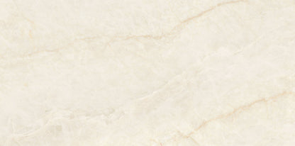 Precious Marble | 24"x48" Porcelain Marble Look Floor & Wall Tile