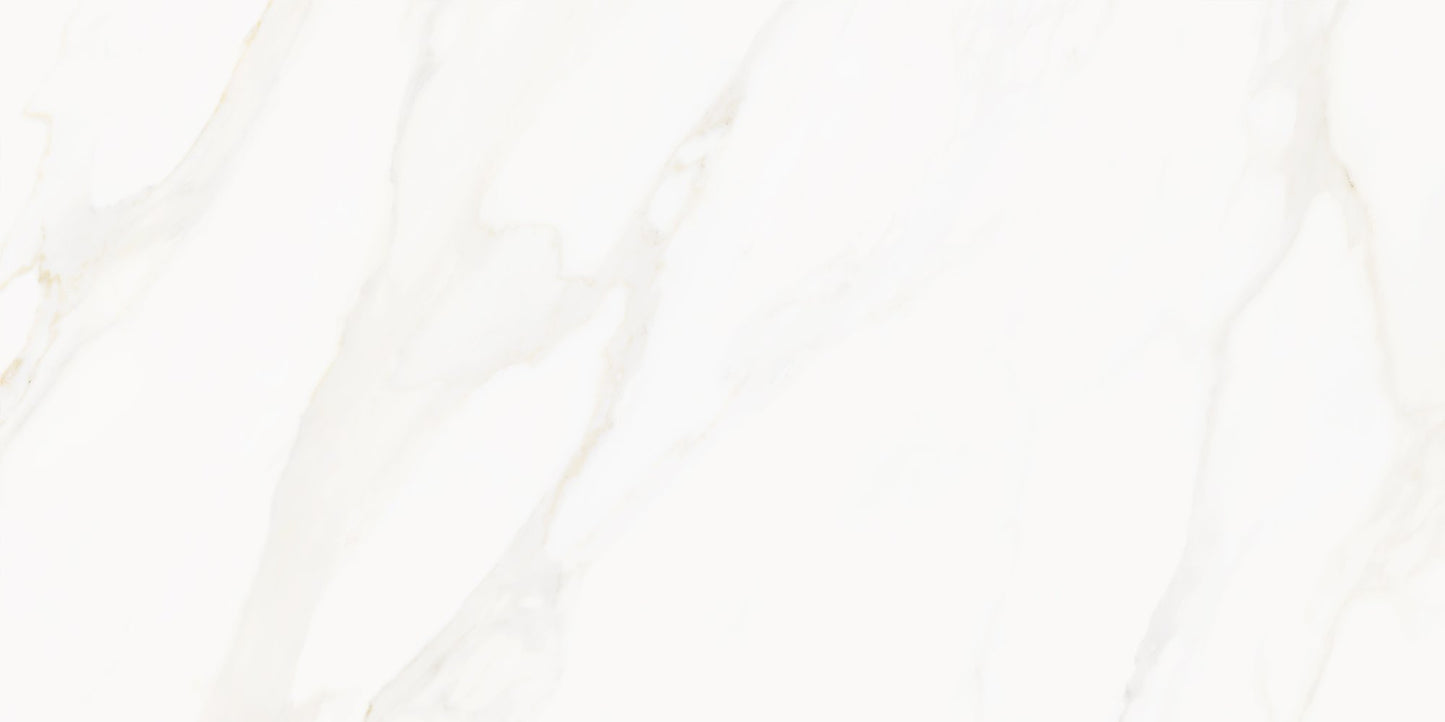 Precious Marble | 24"x48" Porcelain Marble Look Floor & Wall Tile
