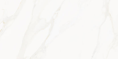 Precious Marble | 24"x48" Porcelain Marble Look Floor & Wall Tile