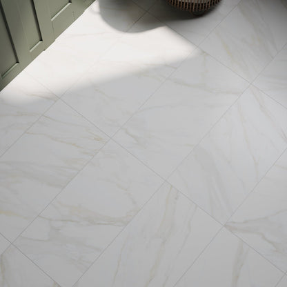 Precious Marble | 24"x48" Porcelain Marble Look Floor & Wall Tile