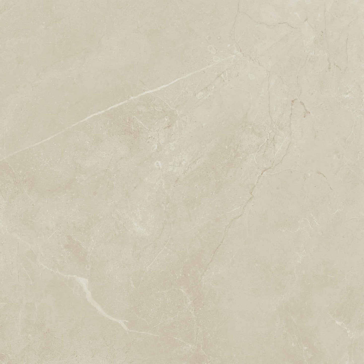 SS-KY13SQ1212MTJJ1 | Sophia 12"x12" (Bone) - SAMPLE
