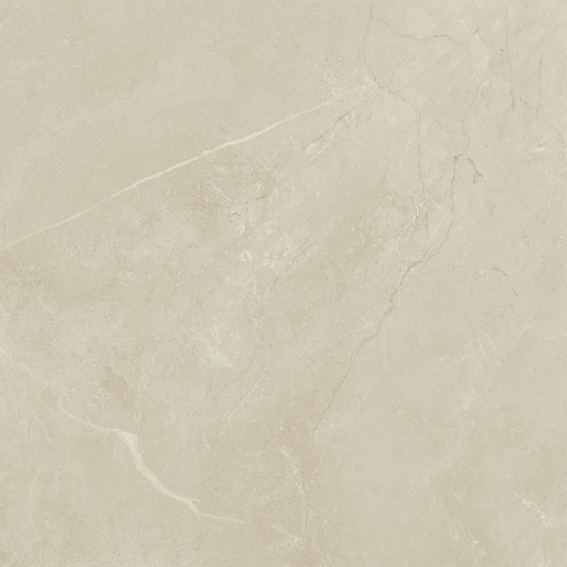 SS-KY13SQ1212MTJJ1 | Sophia 12"x12" (Bone) - SAMPLE