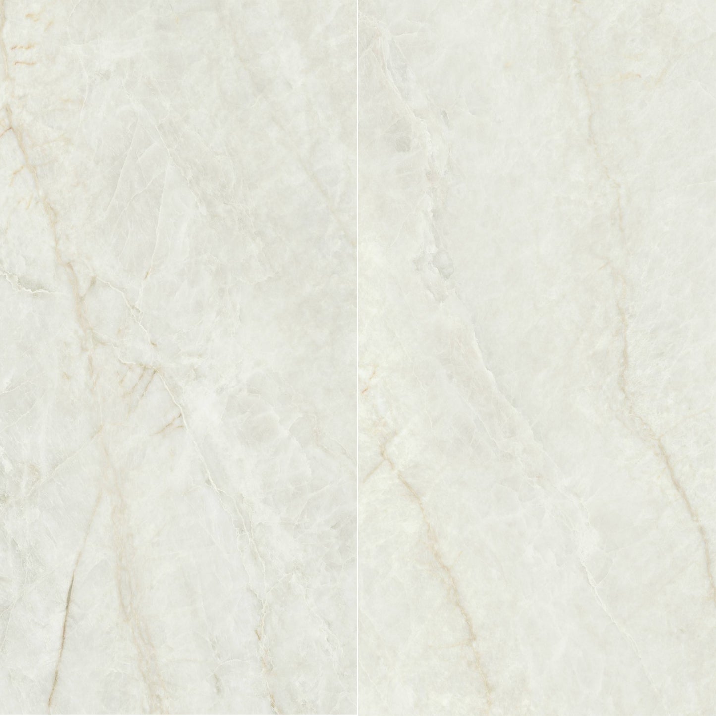 Precious Marble | 24"x48" Porcelain Marble Look Floor & Wall Tile