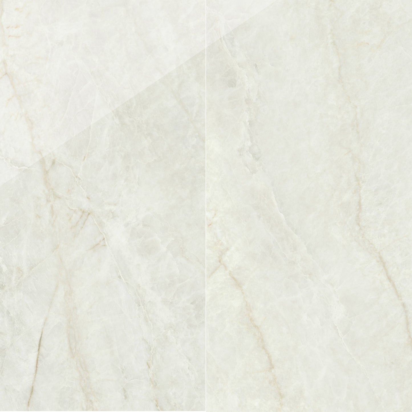 Precious Marble | 24"x48" Porcelain Marble Look Floor & Wall Tile