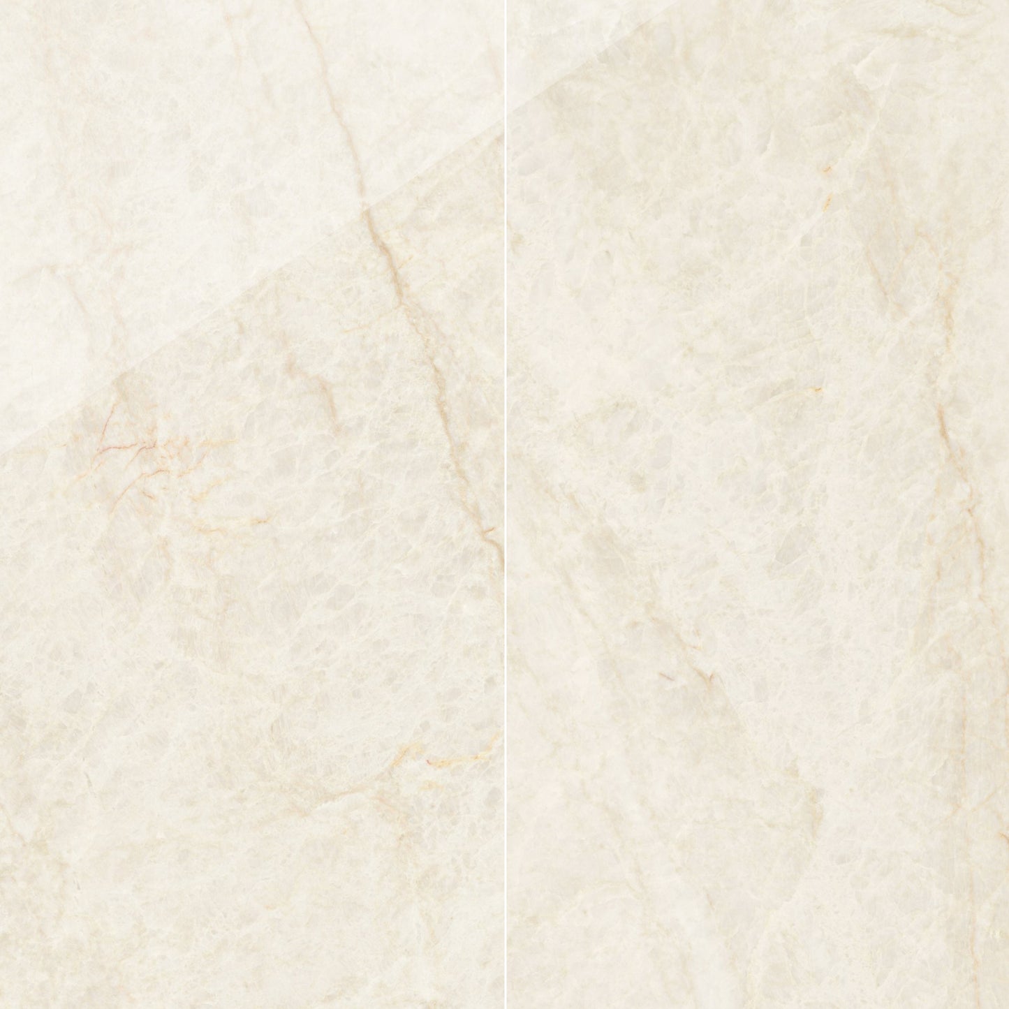 Precious Marble | 24"x48" Porcelain Marble Look Floor & Wall Tile