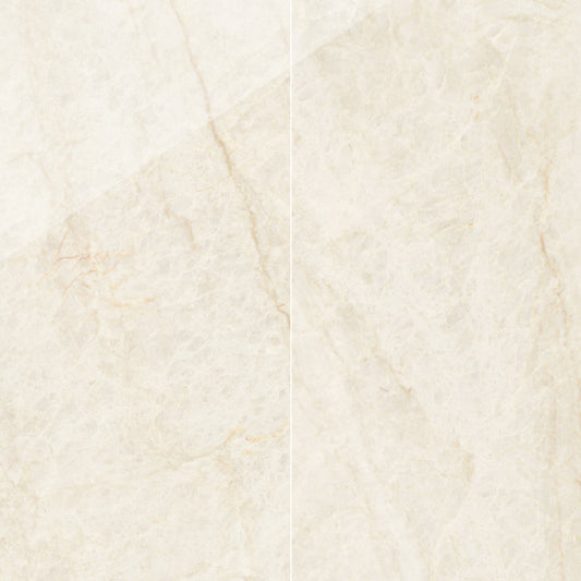 Precious Marble | 24"x48" Porcelain Marble Look Floor & Wall Tile