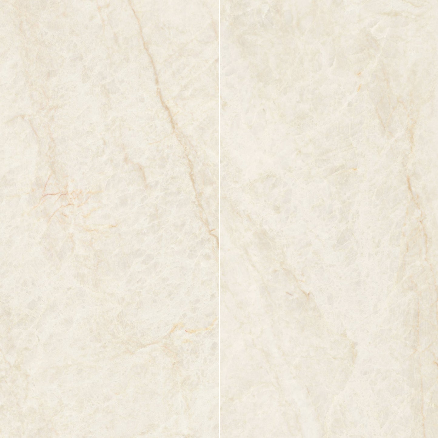 Precious Marble | 24"x48" Porcelain Marble Look Floor & Wall Tile