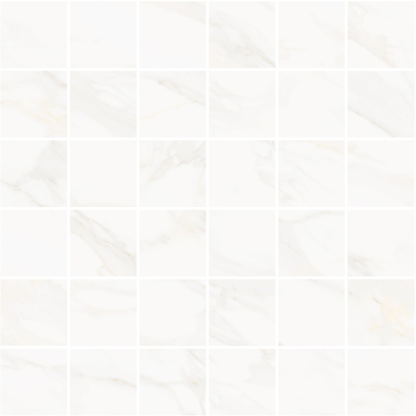 Precious Marble | 2"x2" Porcelain Marble Look Mosaic Tile