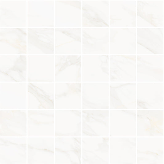 Precious Marble | 2"x2" Porcelain Marble Look Mosaic Tile