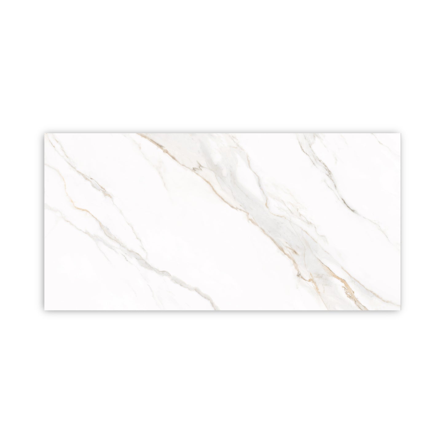 Dream | 24"x48" Borghini Gold Porcelain Marble Look Floor & Wall Tile