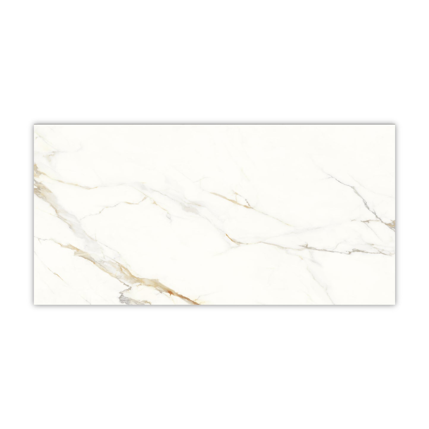 Dream | 24"x48" Calacatta Gold Porcelain Marble Look Floor & Wall Tile