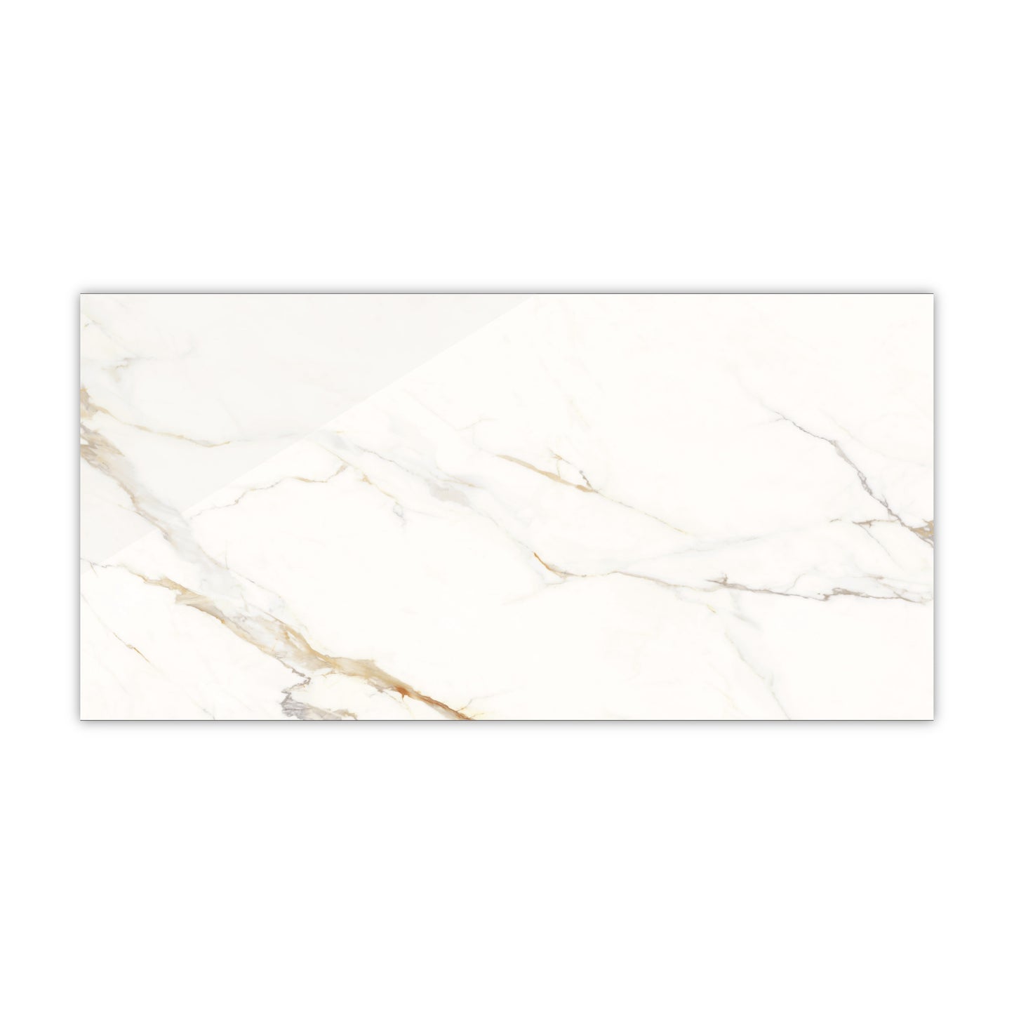 Dream | 24"x48" Calacatta Gold Porcelain Marble Look Floor & Wall Tile