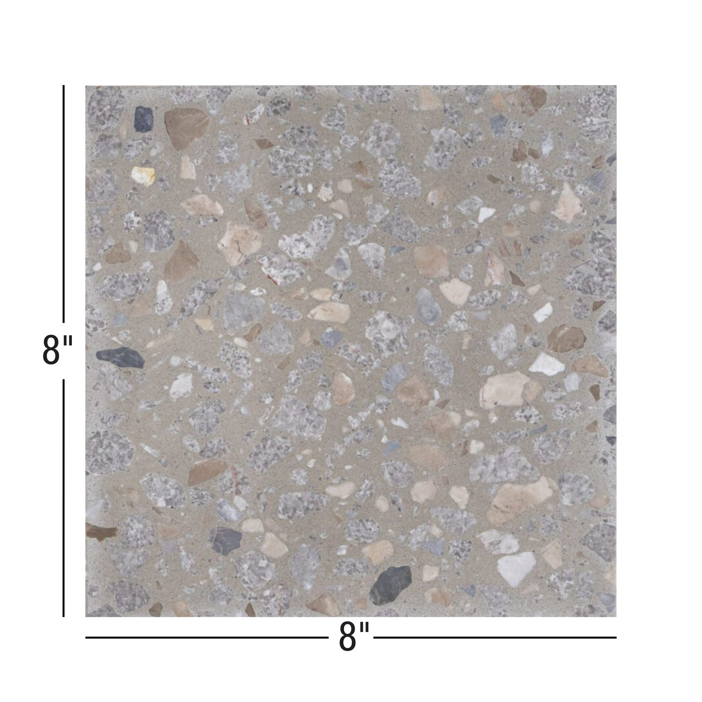 Terrazzo Living | 8"x8" Terrazzo Floor & Wall Tile