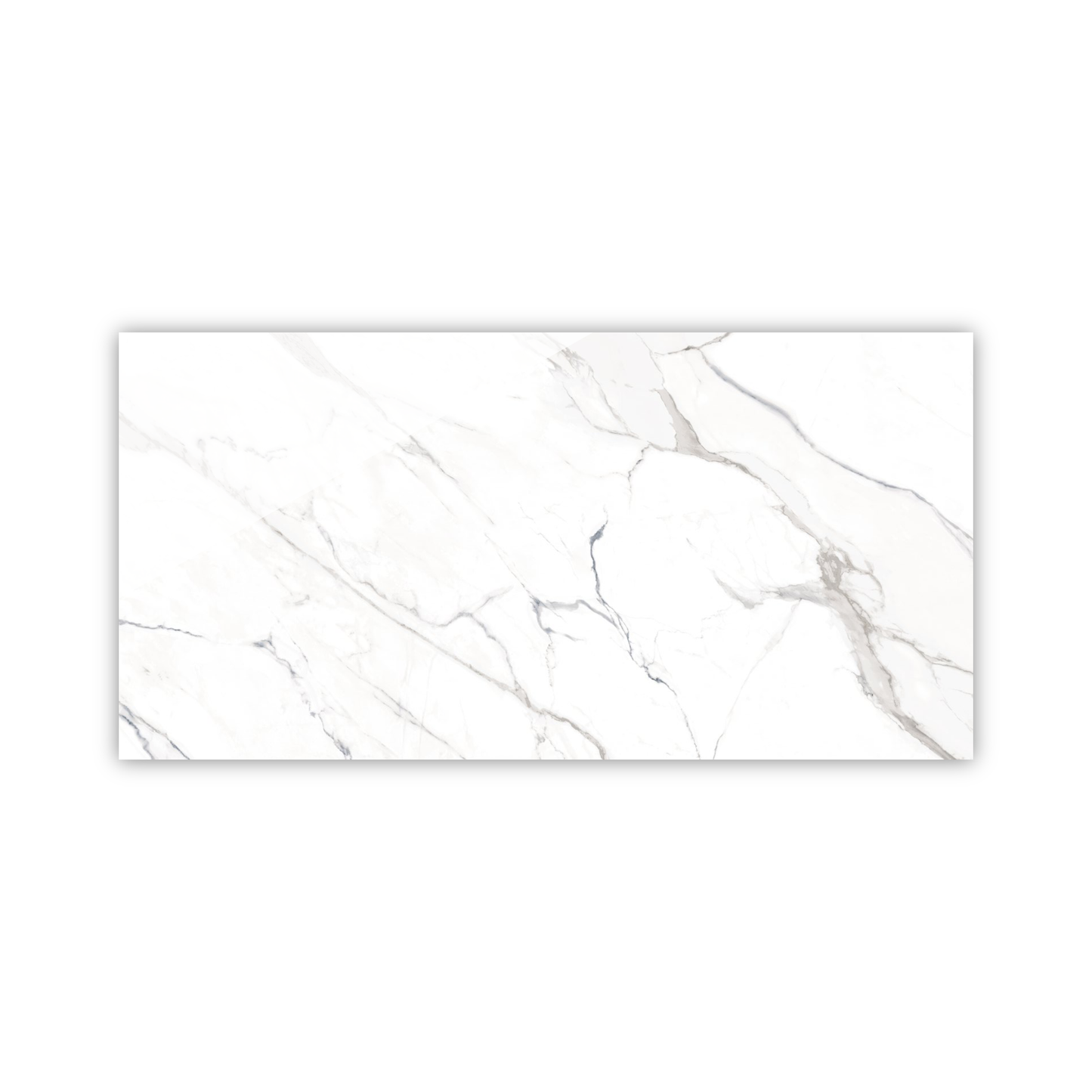 Calacatta Blue | 24"x48"  Porcelain Marble Look Floor & Wall Tile