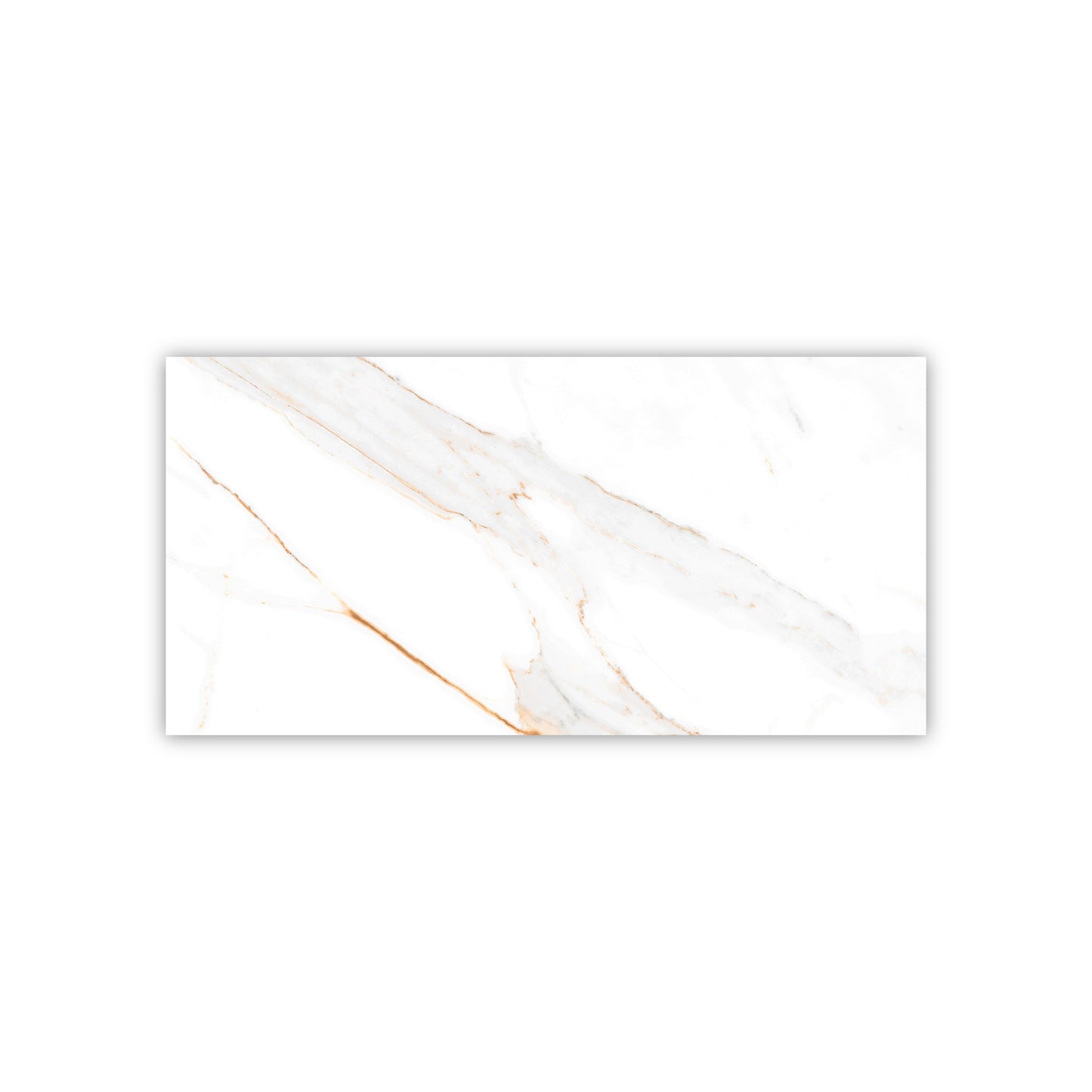 Regal Carrara Gold | 24"x48" Porcelain Marble Look Floor & Wall Tile