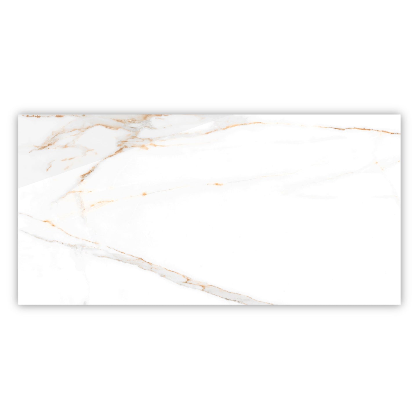Regal Carrara Gold | 24"x48" Porcelain Marble Look Floor & Wall Tile