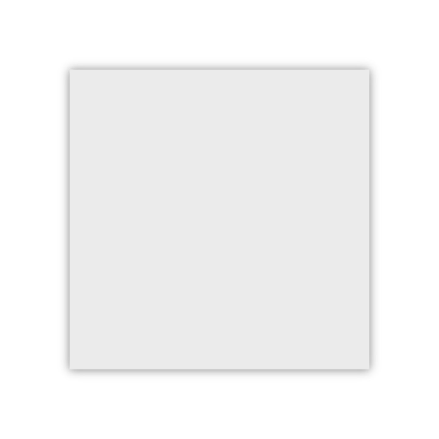Black & White | 12"x12" Porcelain Floor & Wall Tile