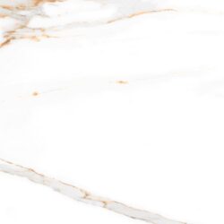 SOHOSurfaces-Tile-RegalCarraraGold-Gallery7